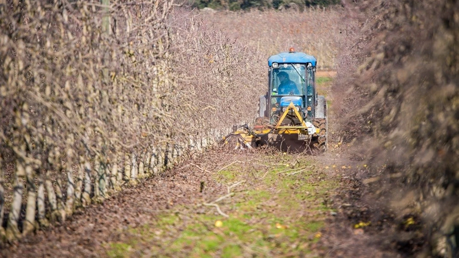 Nuevos préstamos para el sector del campo de la Región
