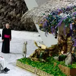  El Papa Francisco visita el Belén del Vaticano en silla de ruedas tras la muerte de Benedicto XVI