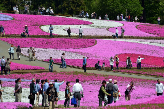 El secreto de los japoneses para reducir la hipertensión