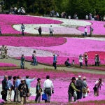 El secreto de los japoneses para reducir la hipertensión