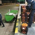Los agentes han depositado las naranjas robadas en las instalaciones del Banco de Alimentos