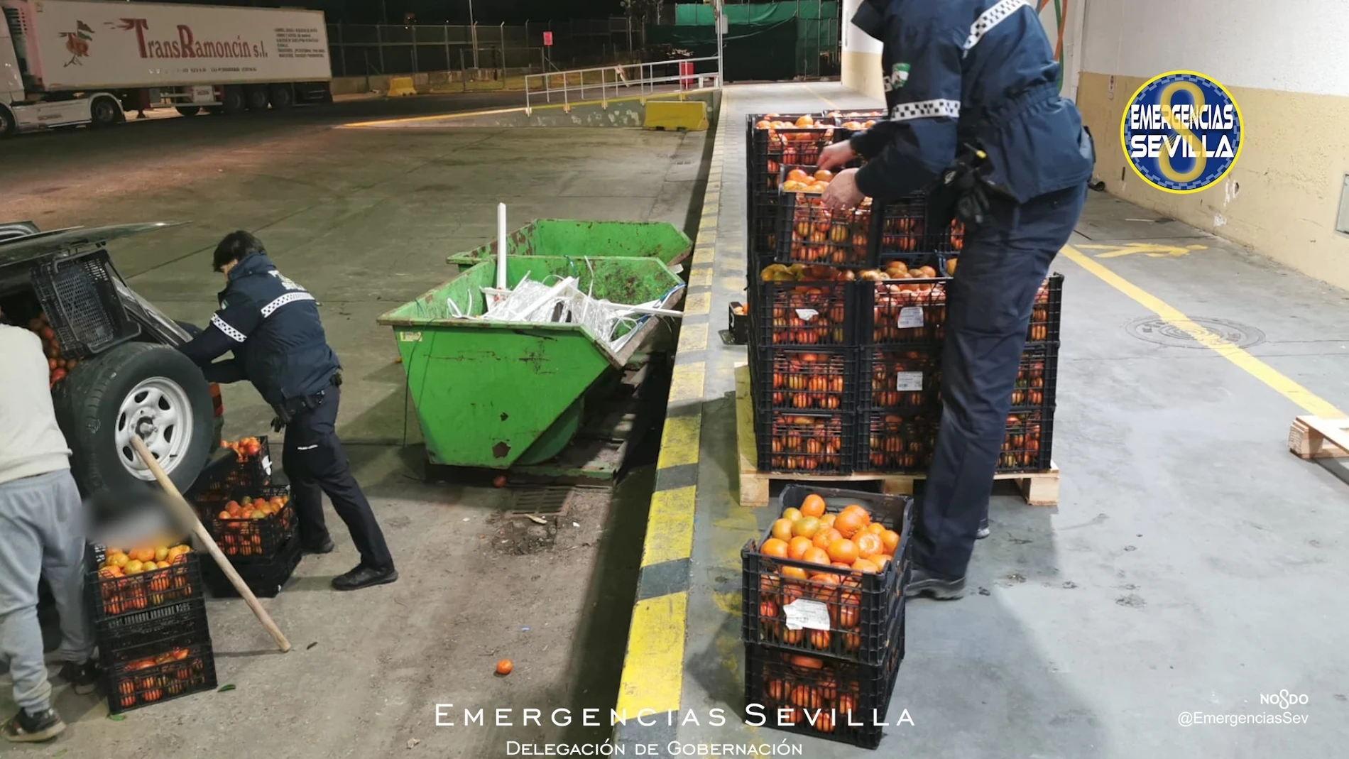 Los agentes han depositado las naranjas robadas en las instalaciones del Banco de Alimentos