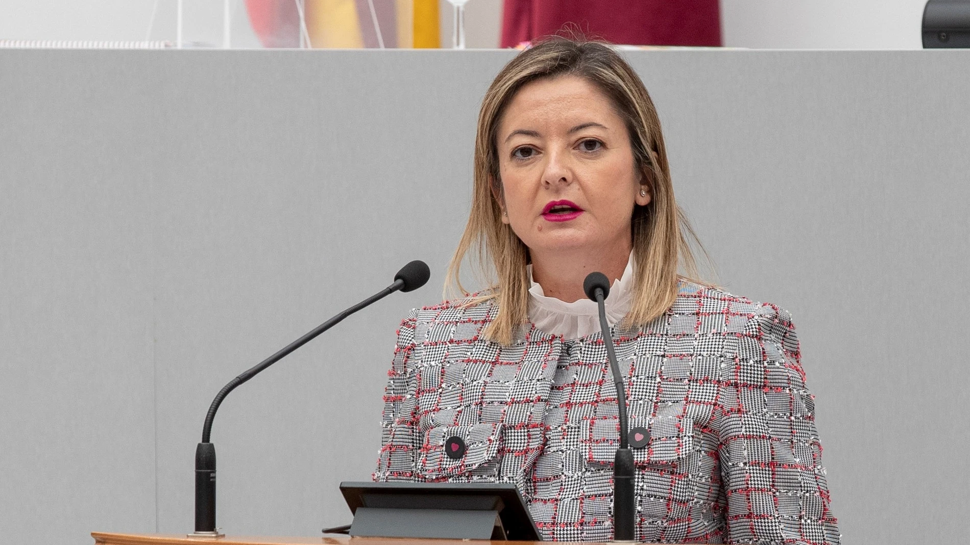 La diputada regional del PP María Dolores Valcárcel