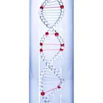 El futuro de la venta de ADN a la carta 