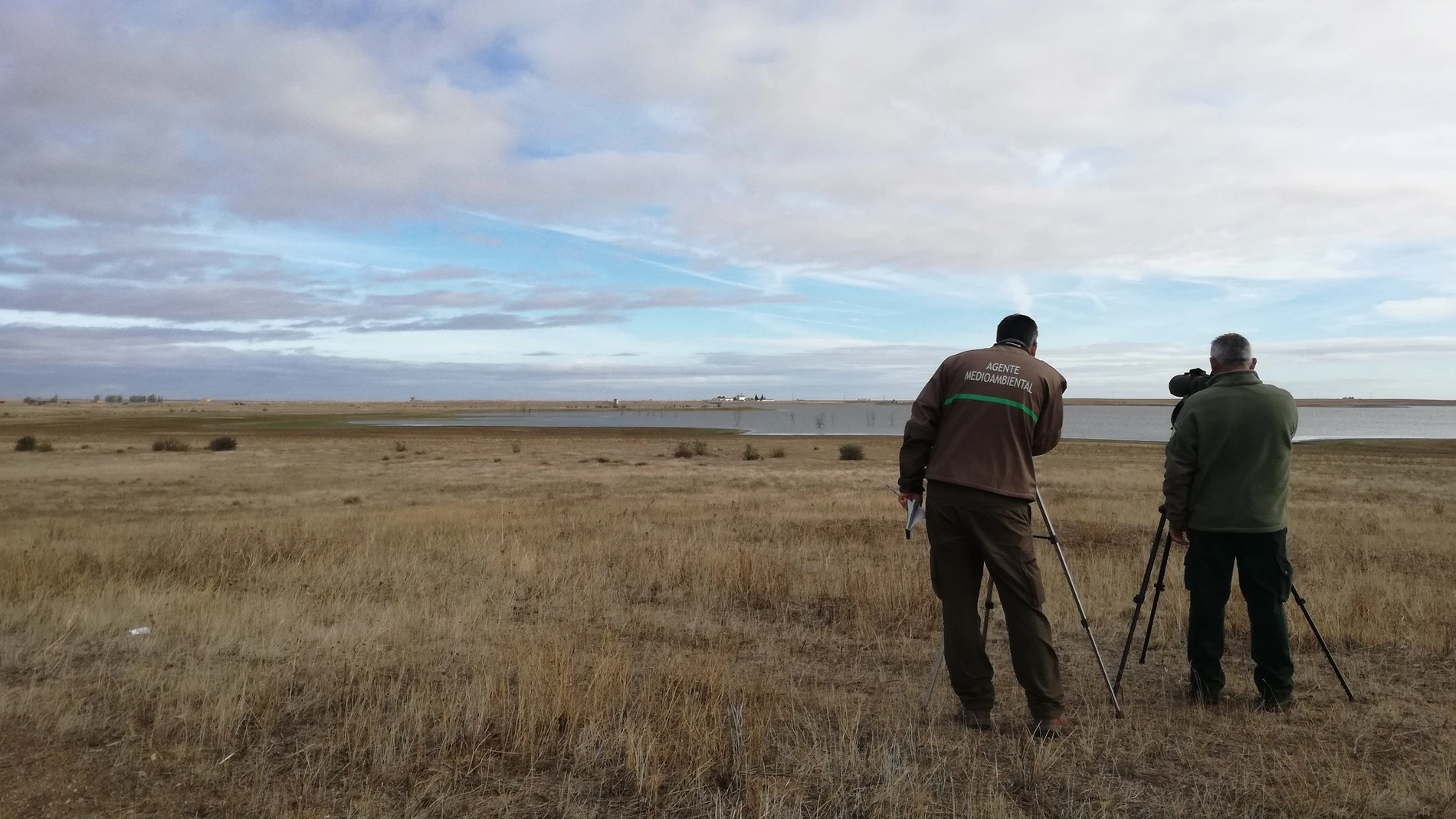 Comienza el nuevo censo para conocer el estado de conservación de las especies de aves acuáticas invernantes en la Comunidad