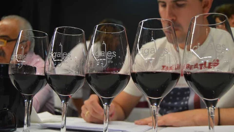 Cata de vinos tintos de la DO Cigales