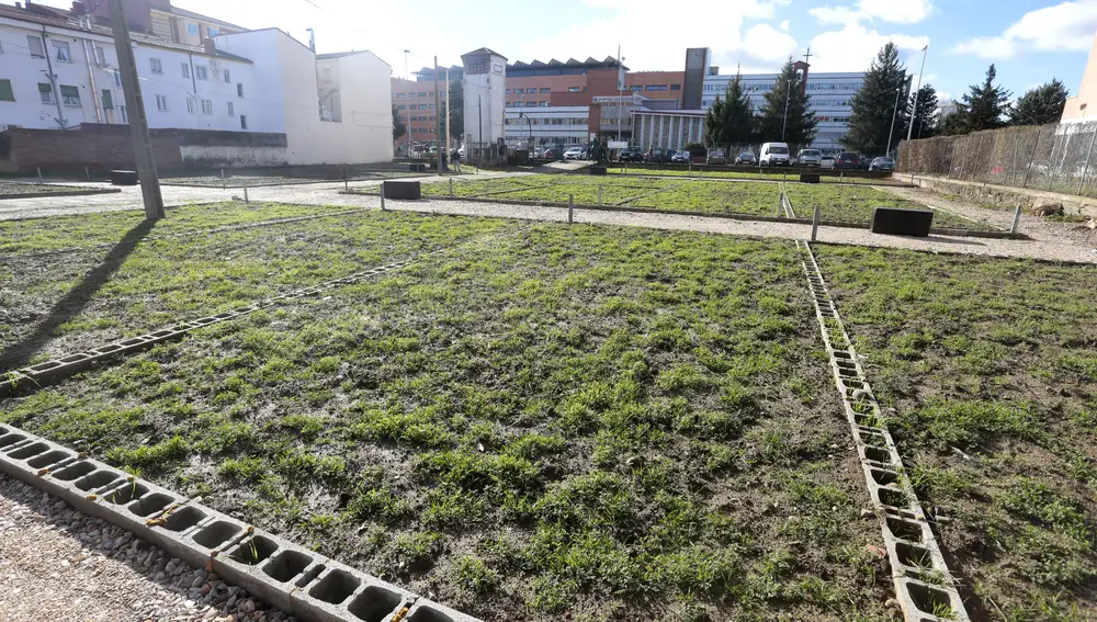 Huertos urbanos