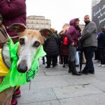 Manifestación en Madrid de Pacma en contra de la Ley aprobada contra el maltrato animal