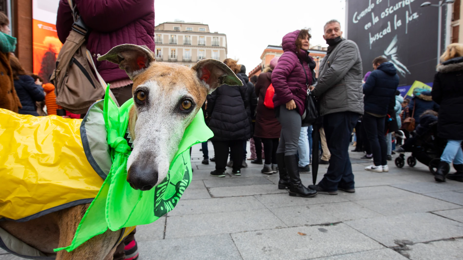 Manifestación en Madrid de Pacma en contra de la Ley aprobada contra el maltrato animal