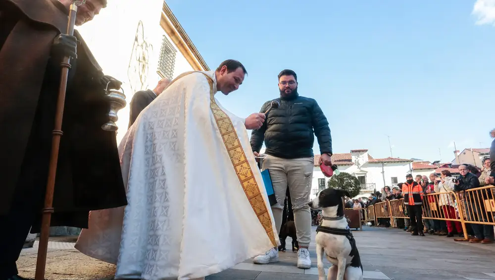 Bendición de animales en León con motivo de la festividad de San Antón