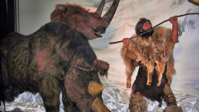 Los neandertales no adaptaron sus hábitos de caza al cambio climático