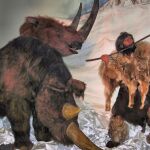 Los neandertales no adaptaron sus hábitos de caza al cambio climático