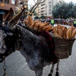 Un burro lleva pan durante la tradicional bendición y desfile de animales con motivo de la festividad de San Antonio Abad