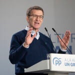 Alberto Nuñez Feijóo, presidente del Partido Popular