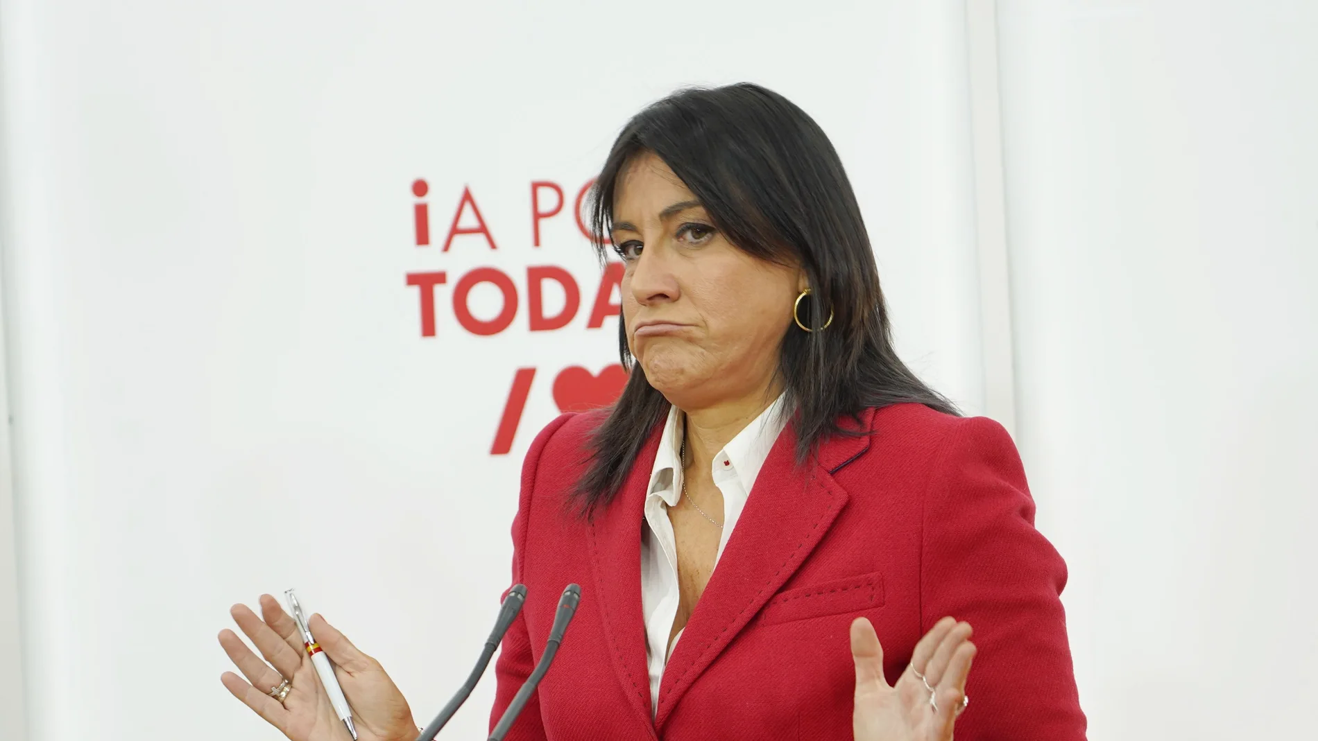 La secretaria de Organización del PSCyL, Ana Sánchez, atiende a la prensa