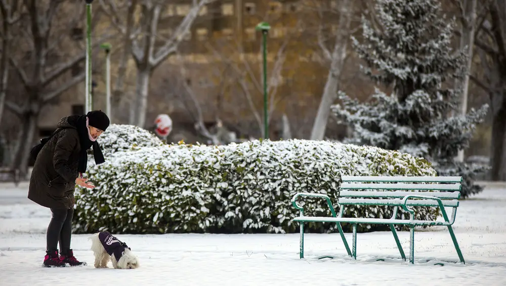 Una mujer con su perro en un parque nevadoen Burgos