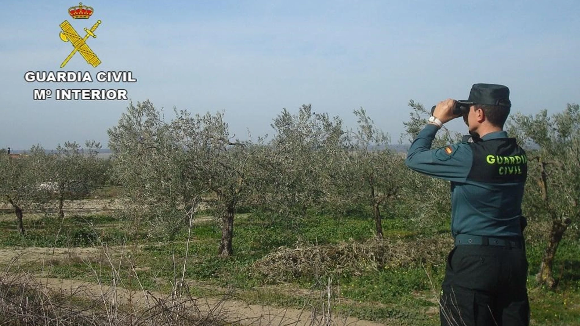 Agente de la Guardia Civil en una finca agrícola. GUARDIA CIVIL