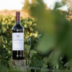 Dominio Basconcillos, bodega pionera del siglo XXI.