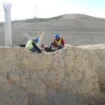 Un equipo de paleontólogos estuvo al frente de los trabajos de recuperación de los fósiles