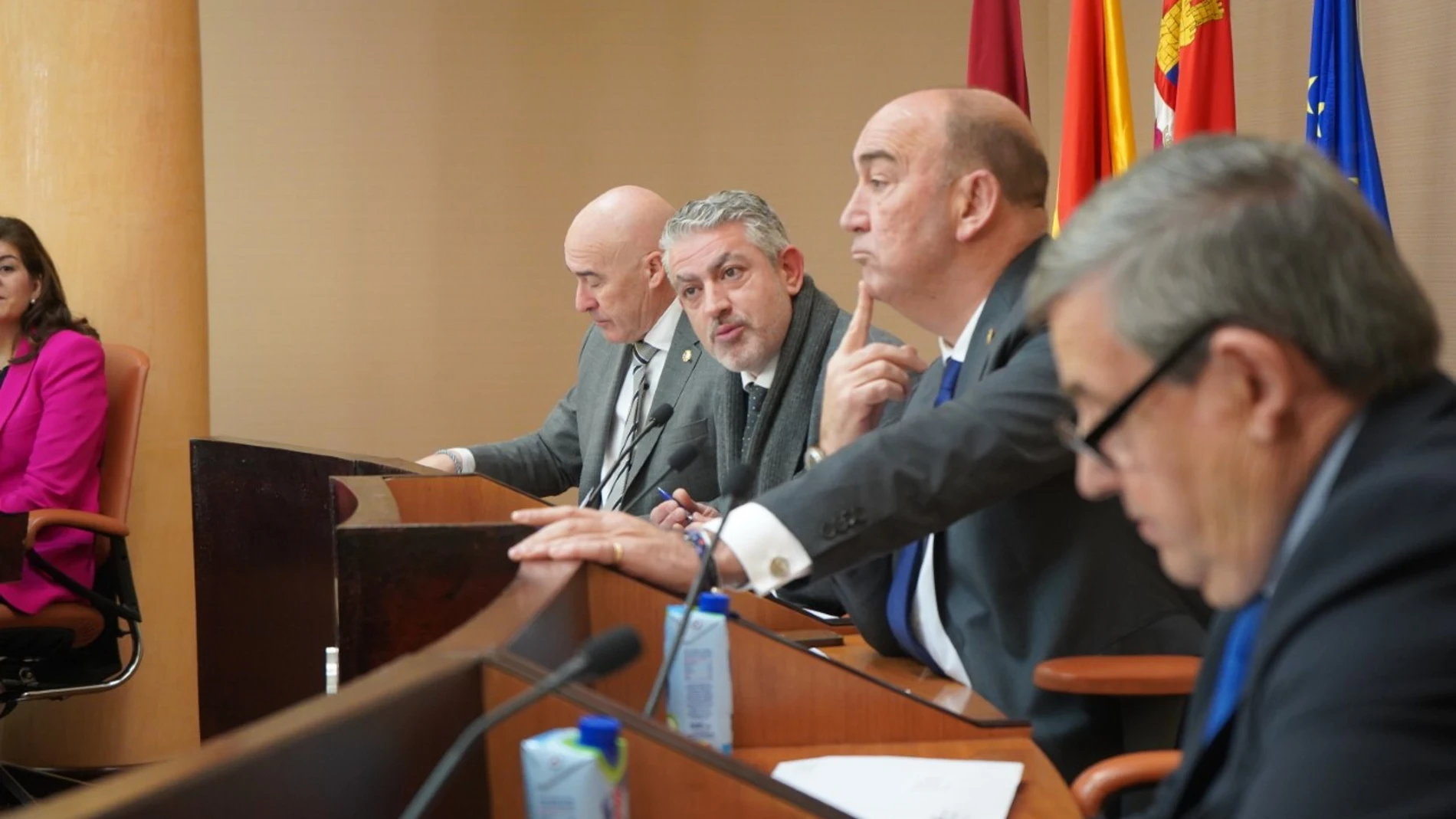 Pleno del mes de enero de la Diputación de Segovia