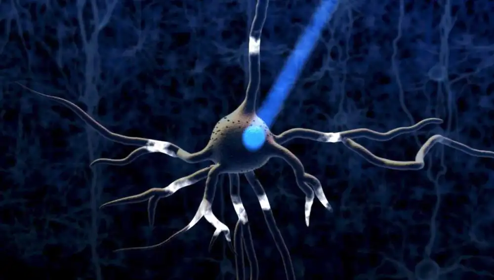 La optogenética combina ingeniería genética y óptica para encender o apagar neuronas a voluntad