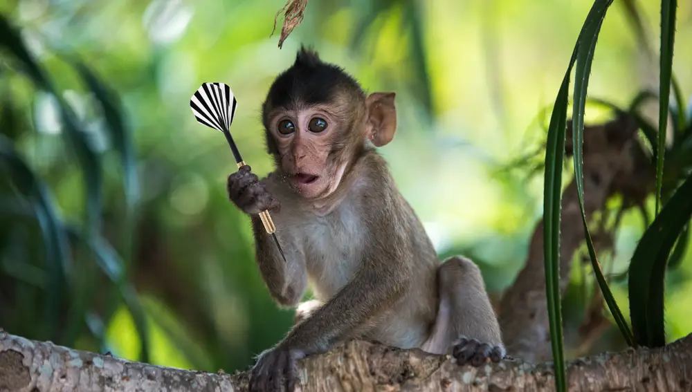 Burton Gordon Malkiel defiende que un mono con los ojos vendados lanzando dardos generaría retornos similares a los de una cartera elaborada por experimentados analistas