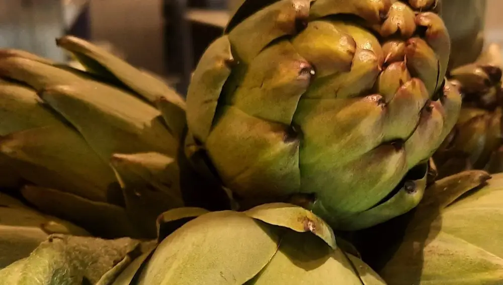 La alcachofa es la verdura por excelencia del invierno