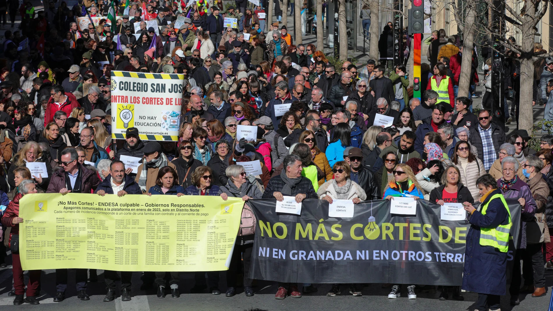 Vista de la manifestación convocada por la Plataforma Contra Los Cortes de Luz este sábado por el centro de Granada