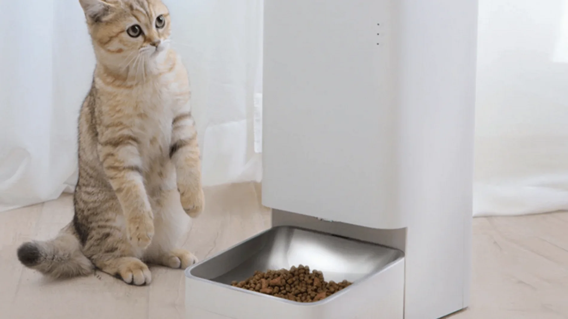 Xiaomi Smart Pet Food Feeder, una opción para ciertos hogares