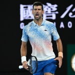 Novak Djokovic celebra uno de los puntos en la final ante Tsitsipas