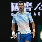 Novak Djokovic celebra uno de los puntos en la final ante Tsitsipas