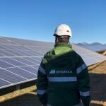 El parque fotovoltaico Olmedilla de Iberdrola, en Cuenca