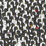Tres gatitos se esconden en esta colonia de pingüinos. Tu trabajo es encontrarlos | Fuente: dudolf.com