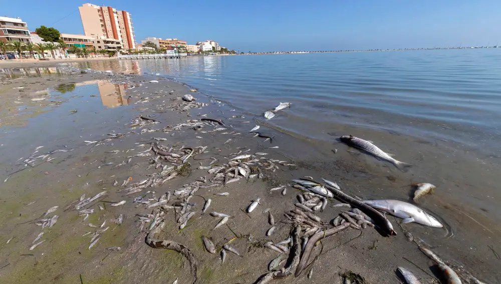 Vertidos que contaminan el Mar Menor