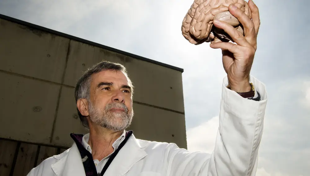 Ignacio Morgado es autor de «El cerebro y la mente humana»