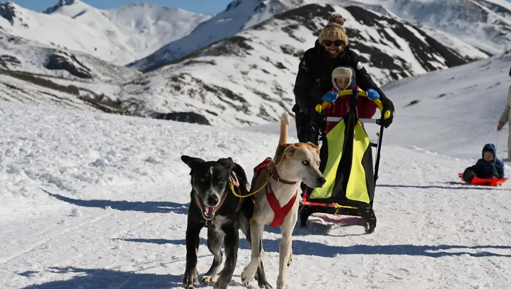 El puerto de Vegarada, en el municipio leonés del Valdelugueros, ha acogido este fin de semana el Campeonato de Castilla y León de Mushing -perros con trineos- en el que se han registrado más de 70 salidas con deportistas llegados de todas partes de España, en especial del norte de la península, con la comunidad anfitriona y Galicia acaparando los principales triunfos