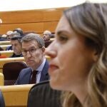 Alberto Núñez Feijóo e Irene Montero en la sesión de control al Gobierno en el Senado.