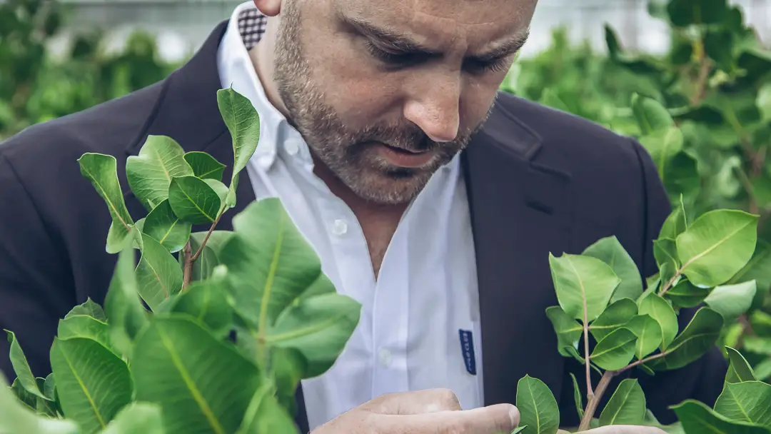 &quot;Con estos dispositivos tecnológicos, es posible ser más eficientes&quot;, explica Ángel Minaya, CEO de Agróptimum.