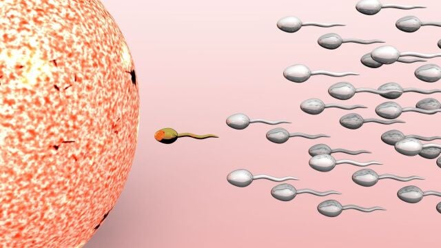 Espermatozoides fertilizando un óvulo