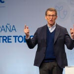 El presidente del PP, Alberto Núñez Feijóo
