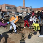 Varios niños plantan árboles en la localidad palentina