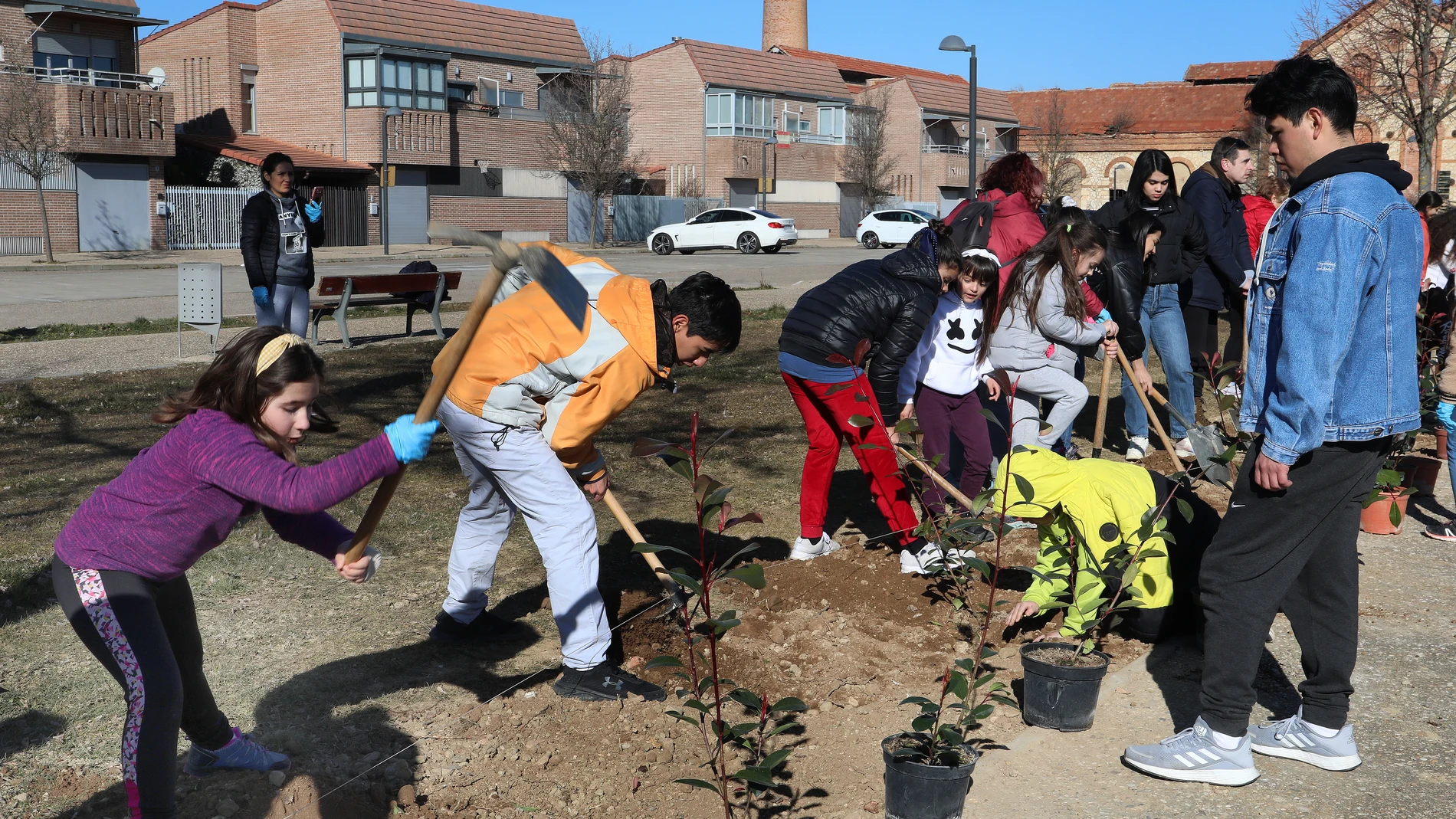 Varios niños plantan árboles en la localidad palentina