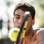 Carlos Alcaraz