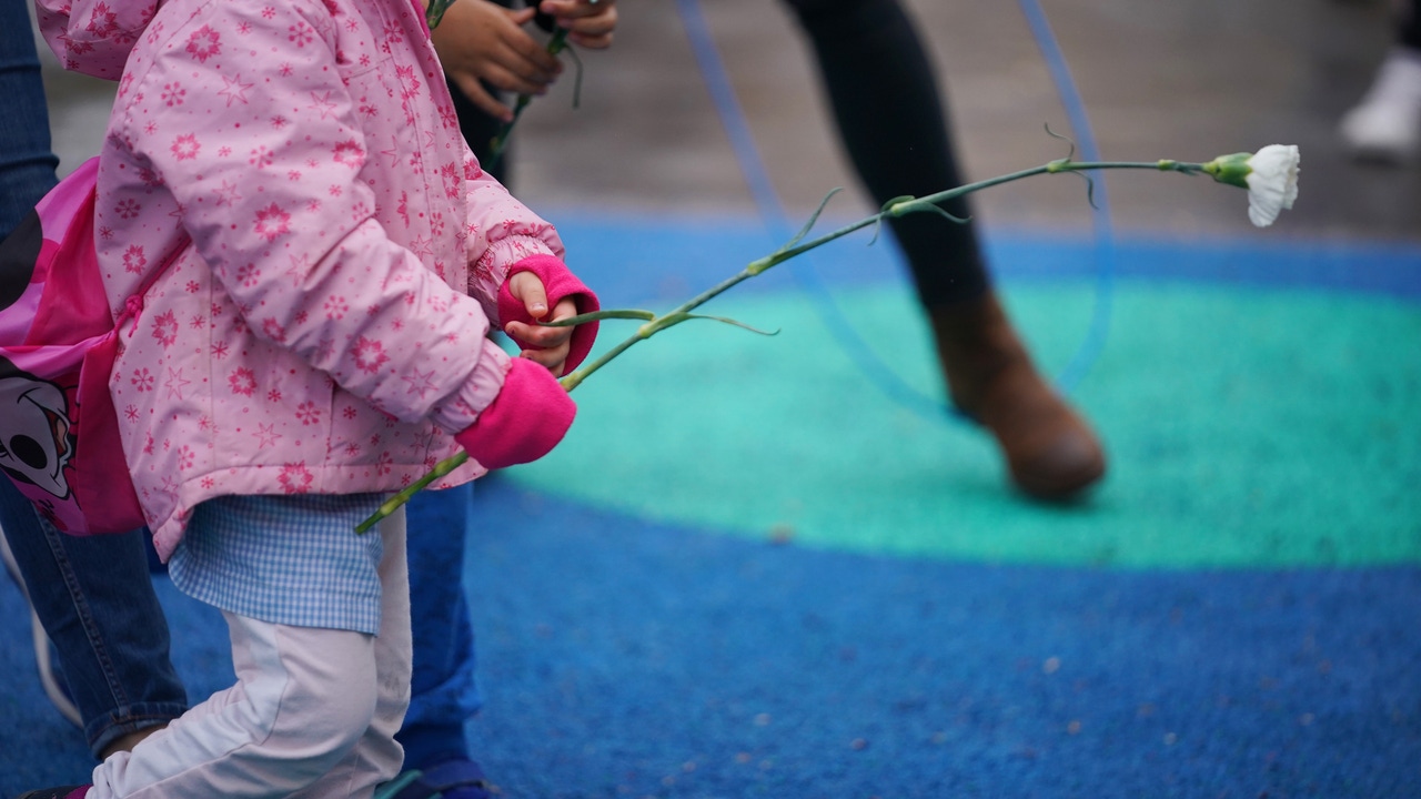 Crisis en la Salud Mental Infantil y Juvenil: Denuncian Vulneraciones Sistemáticas y Exigen Acción Urgente