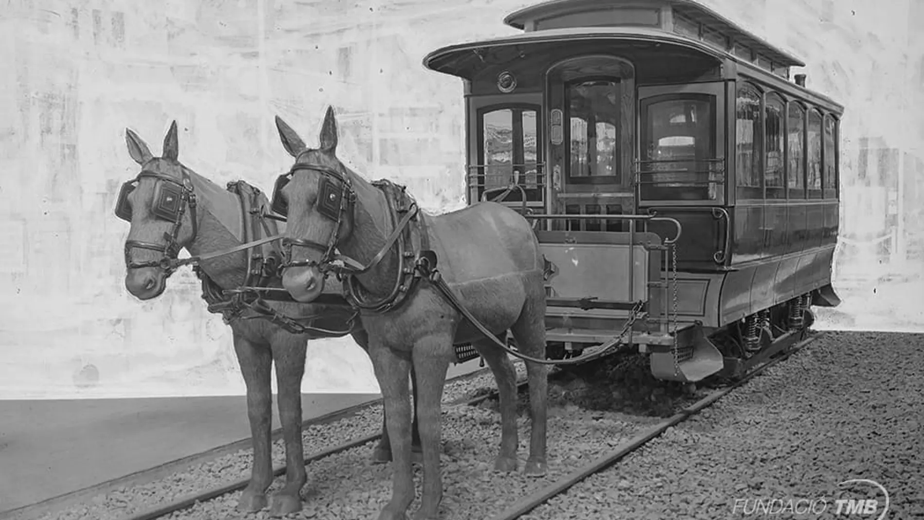 Imagen de un tranvía de tracción animal como los que inauguraron la primera línea de tranvías de Barcelona el 27 de junio de 1872. Eran tranvías tirados por mulas o caballos. La fotografía es de 1929, cuando el tranvía n.2 fue exhibido en la Exposición Internacional de Barcelona