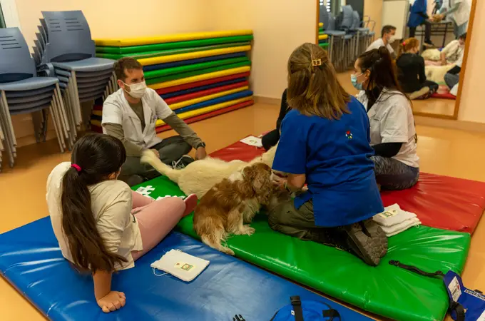 La terapia asistida con perros mejora el autocontrol, la asistencia y la predisposición de los menores de 13 años