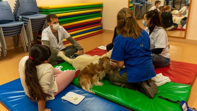 Los jueves se realizan terapias asistidas con perros en el Hospital de Día de Salud Mental del Clínic