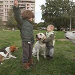 Niños pequeños jugando con perros en un parque