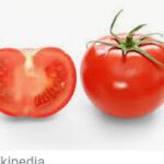 El tomate es uno de los productor que más ha bajado de precio