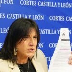 La secretaria de Organización del PSOE de Castilla y León y vicepresidenta de las Cortes, Ana Sánchez
